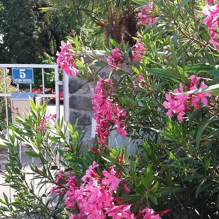 Oleandri1 Mit Blick Auf Wasser By Interhome Apartament