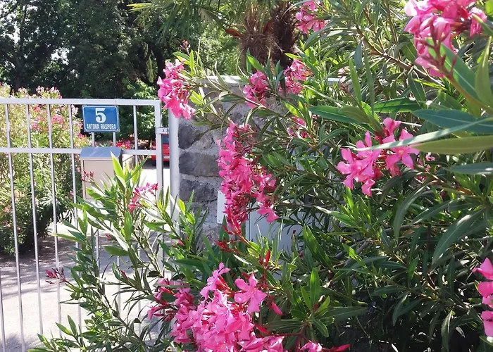 Oleandri1 Mit Blick Auf Wasser By Interhome Apartment